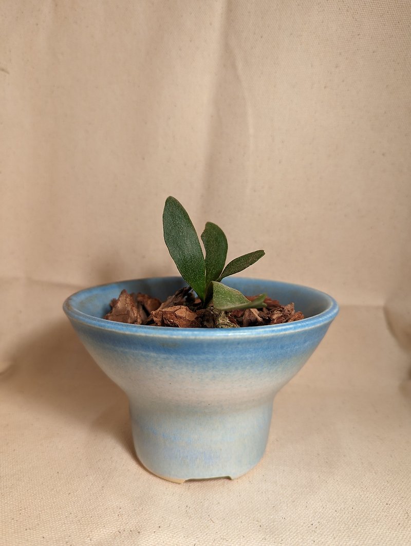Plant pots, pottery pots, potted plants, hand-drawn pottery - Plants - Pottery 