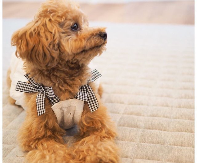 犬服・総刺繍バックフリルキャミソール_White ショップ pomponne 洋服・帽子 Pinkoi