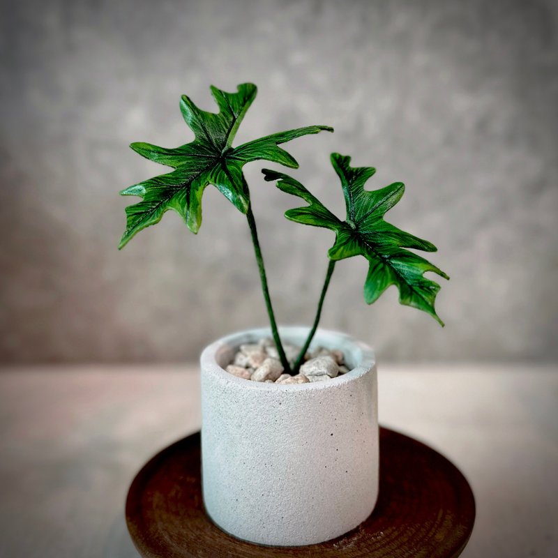 傑克林觀音蓮－手工革製小盆栽 送禮 - 植栽/盆栽 - 真皮 