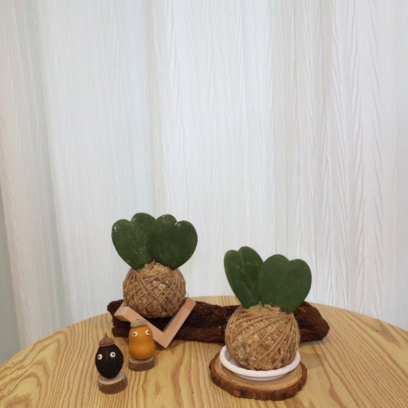 |心型球蘭苔球| 贈送塑膠底座 / 植男人紳 手作苔球 - 盆栽/植栽 - 植物．花 綠色