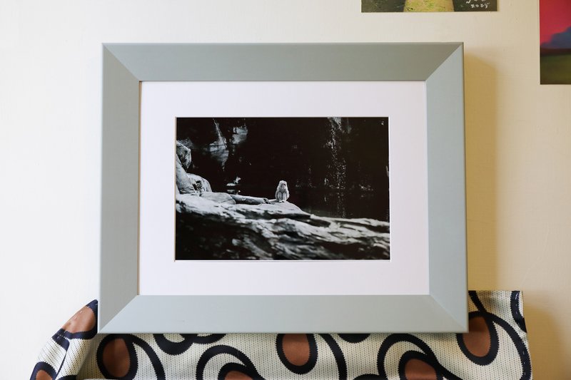 花果山水濂洞的猴子 - 攝影集 - 紙 