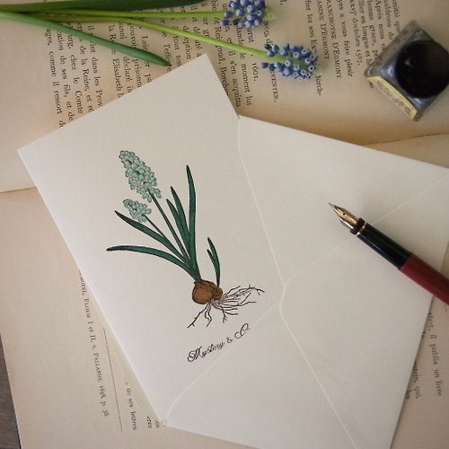 botaniko press 【大きいグリーティングカード】ムスカリ / 活版印刷 / カード1枚と封筒1枚 / 105 x 155mm