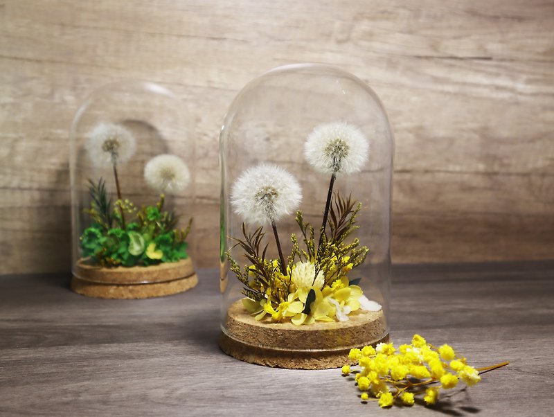 Dream World Dandelion Immortal Flower-Vitality Yellow - Items for Display - Plants & Flowers White