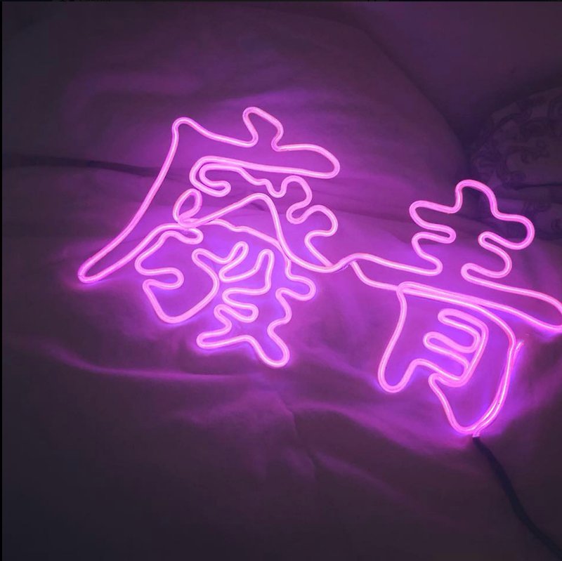 neonlite custom made wording light - Lighting - Plastic Pink