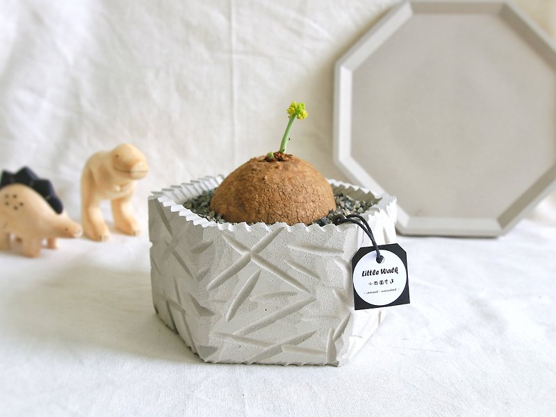 L-Round Leaf Mountain Turtle • Classic Gray Rough Style Cement Pot / Planting