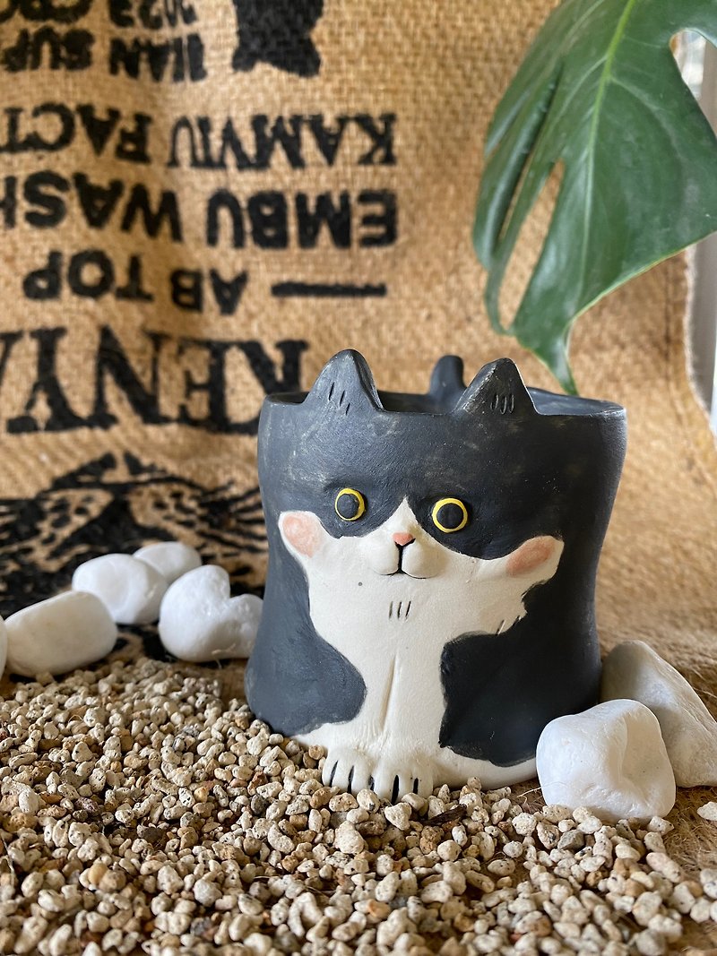 Stand well black and white Mercedes cat flower pot/bottomed hole/succulents/indoor plants - ตกแต่งต้นไม้ - ดินเผา 