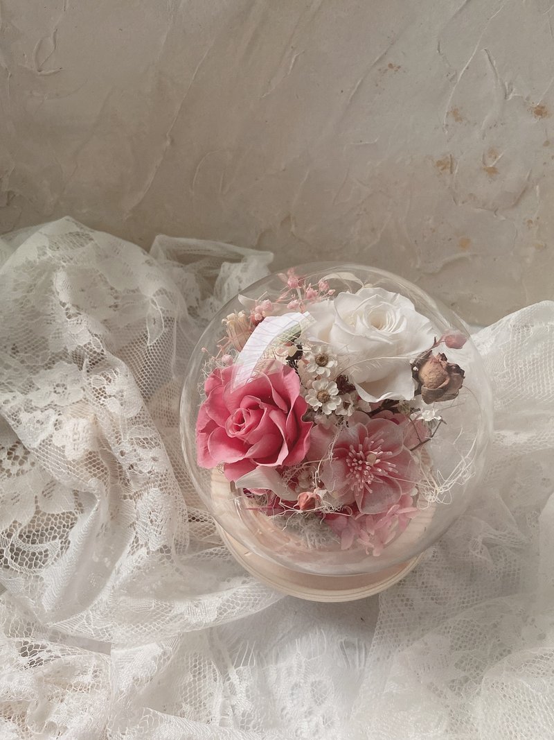 Everlasting rose cup - Dried Flowers & Bouquets - Plants & Flowers 