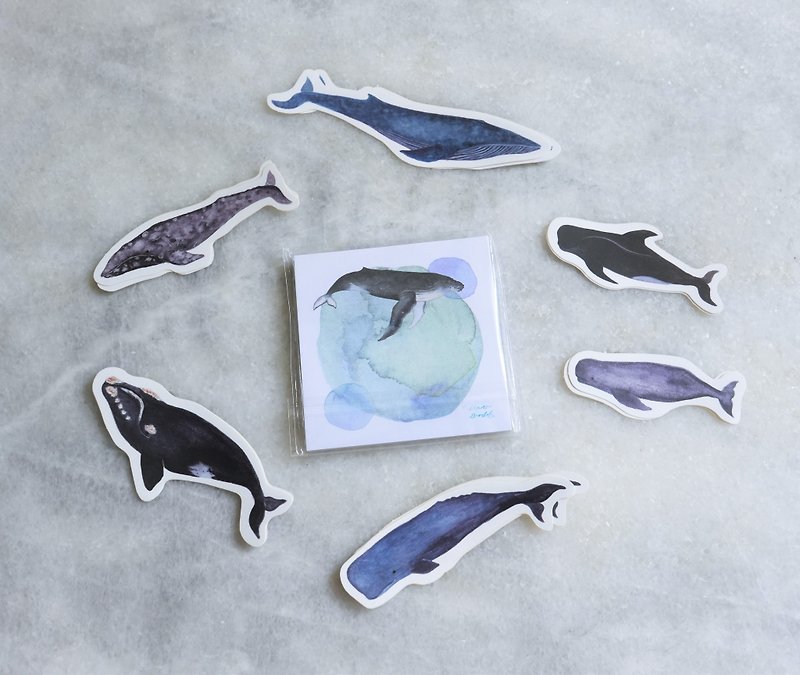 Cetacean Matte Sticker Full 6 Species of Sperm Whale Blue Whale - สติกเกอร์ - พลาสติก สีน้ำเงิน