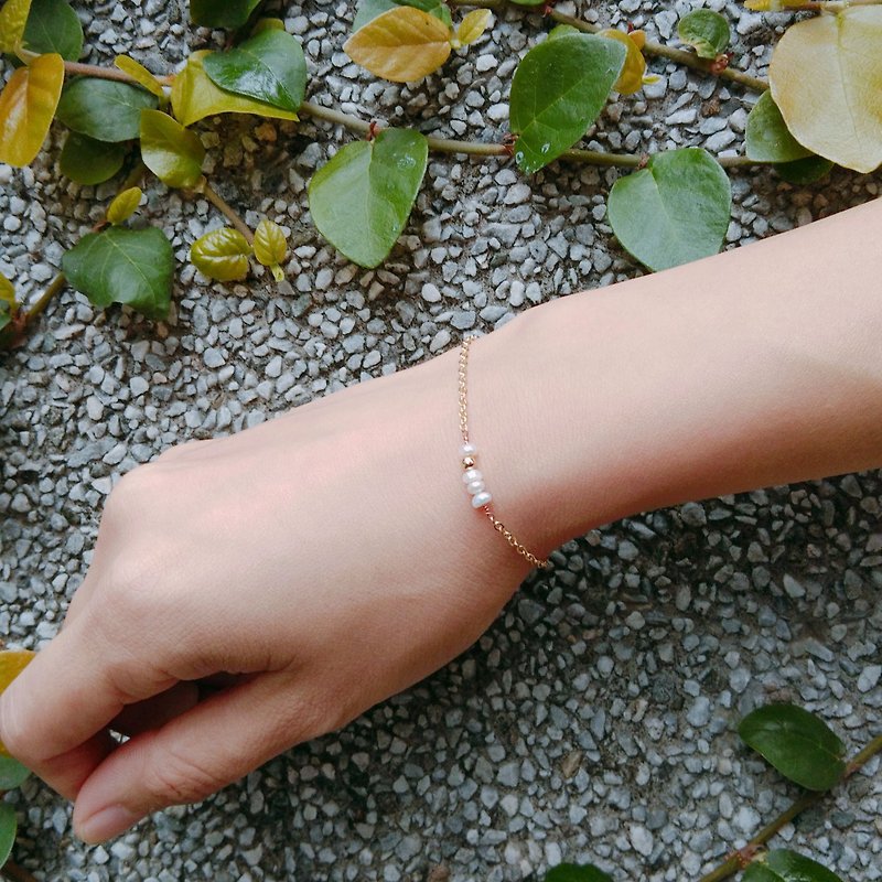 [Small Pearl Bracelet] Freshwater Pearl / 14k Gold Plated Chain / Free Shipping / Temperament Pearl Bracelet - ต่างหู - ไข่มุก ขาว