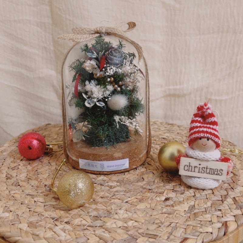 Christmas Tree - Corked Glass Cloche - ช่อดอกไม้แห้ง - พืช/ดอกไม้ 