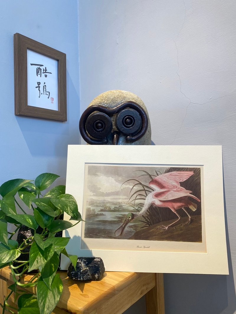 美國鳥類學家Roger Tory Peterson鳥類圖鑑版畫 - 海報/掛畫/掛布 - 紙 