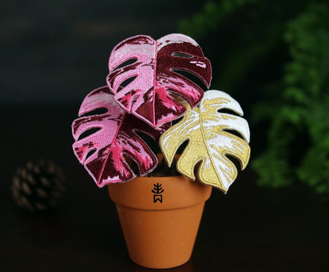 ピンク斑入りモンステラ - 観葉植物 - 刺繍の入った鉢植え