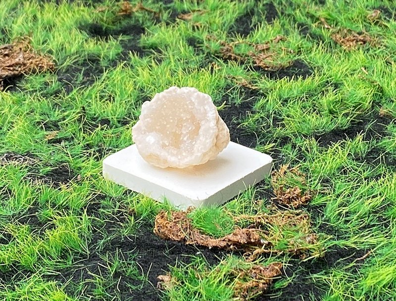 招財可愛貝殼造型瑪瑙白晶洞 開運 聚財 快速出貨 辦公室 風水 - 擺飾/家飾品 - 水晶 白色