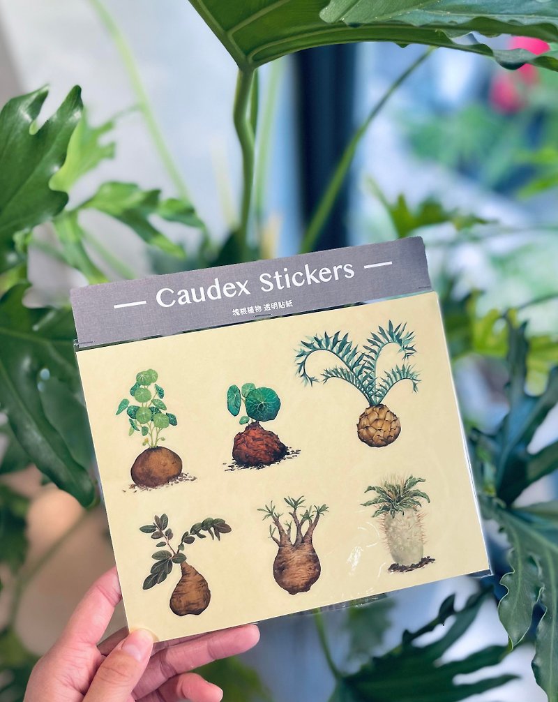 Six kinds of tuberous plant transparent matte stickers - Stickers - Waterproof Material Green