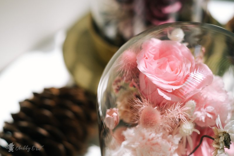 LONG 永生玫瑰金星玻璃罩 - 乾花/永生花 - 植物．花 