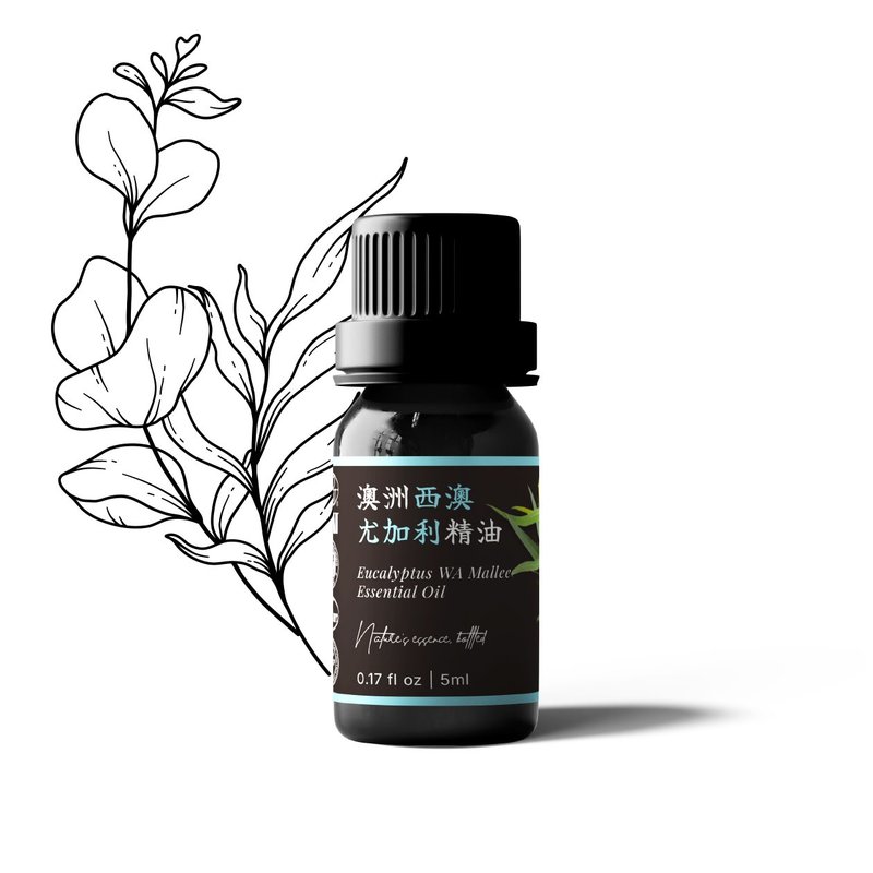 【卡佛香】澳洲西澳/柯奇 尤加利精油 - 香氛/精油/擴香 - 玻璃 黑色