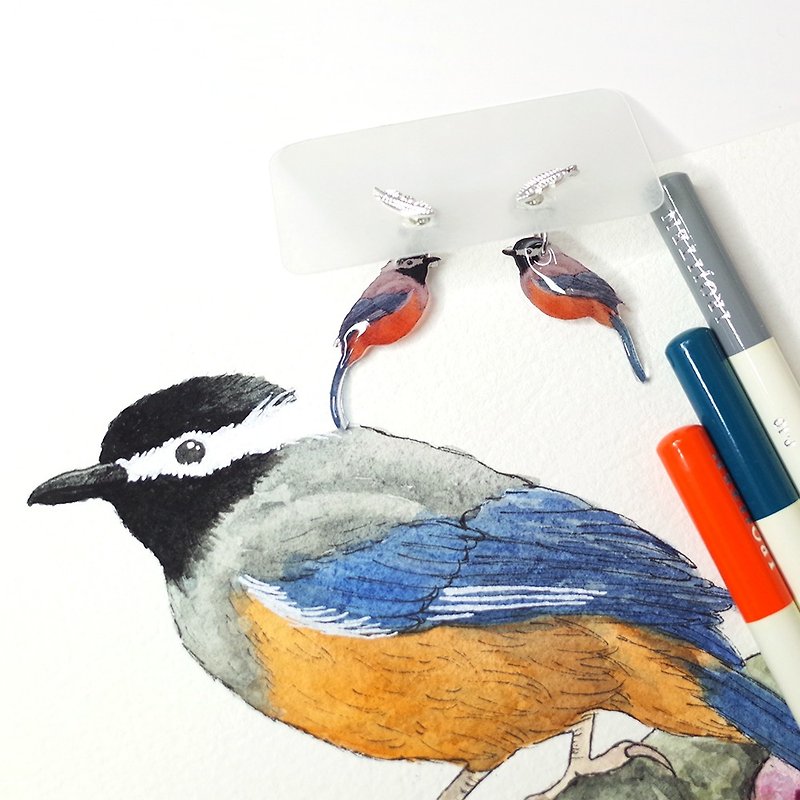 Taiwan's endemic white-eared thrush painting earrings 925 white ear needle/ Clip-On - Earrings & Clip-ons - Waterproof Material Multicolor