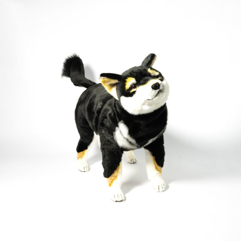 Hansa 7242-黑柴犬站姿  50公分 - 公仔/玩偶 - 環保材質 黑色