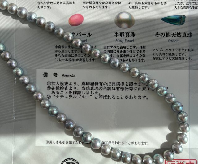 ナチュラルブルー　アコヤ真珠ネックレス 6.5-7mm 真珠科学研究所鑑別書付 真珠科学研究所鑑別書付き ナチュラルブルー 6.5ミリアコヤ