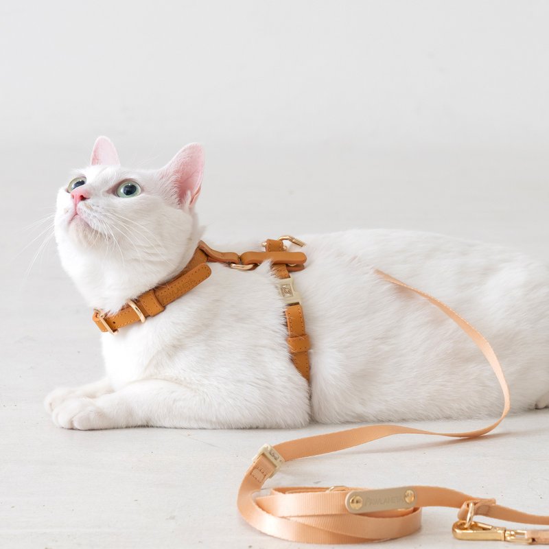 【Pawlaneta】Infinitas H-shaped harness-circle magic - ปลอกคอ - หนังแท้ สีกากี