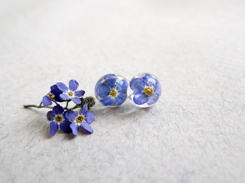 Forget-me-not earrings Studs Minimalist earrings Resin Flowers Nature Floral - ต่างหู - พืช/ดอกไม้ สีน้ำเงิน