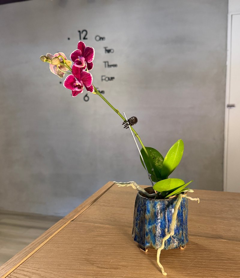 手捏陶盆 花器 - 盆栽/植栽 - 陶 