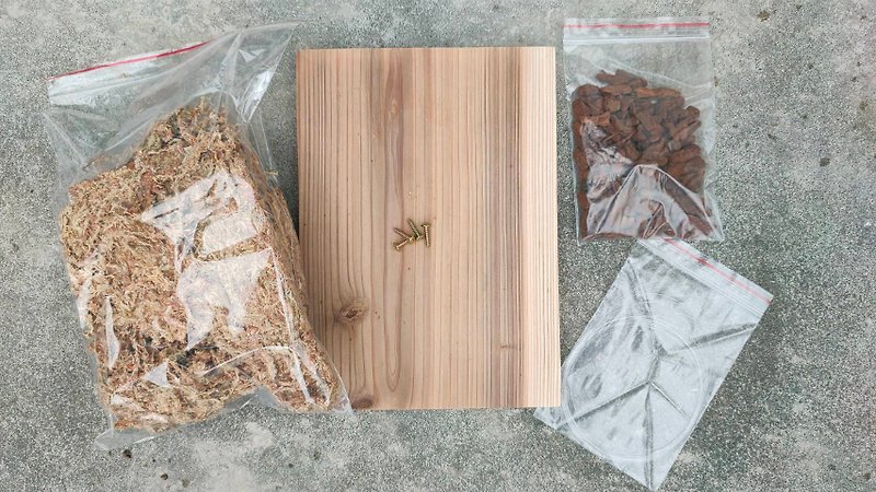 DIY鹿角蕨(一般杉木板)上板材料組 - 植栽/盆栽 - 木頭 卡其色