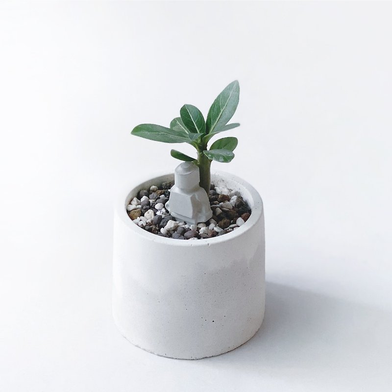 (Spot) Give a small robot, let me shelter you from the wind and rain, desert rose round Cement succulent plant - ตกแต่งต้นไม้ - พืช/ดอกไม้ สีเทา