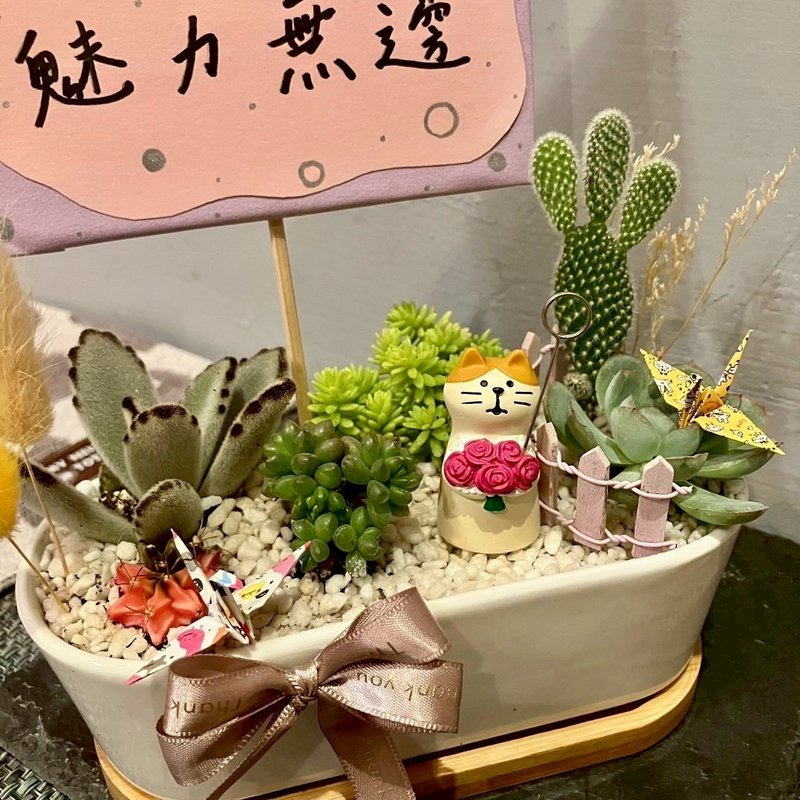 捧花貓 台中 多肉組盆 多肉植物 植栽送禮 母親節送禮 聖誕節 貓 - 盆栽/植栽 - 植物．花 綠色