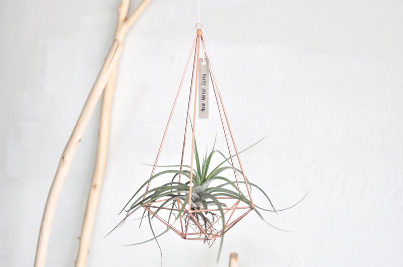 空氣鳳梨/漂浮掛飾/鑽石型/玫瑰金/大 - 盆栽/植栽 - 其他金屬 金色