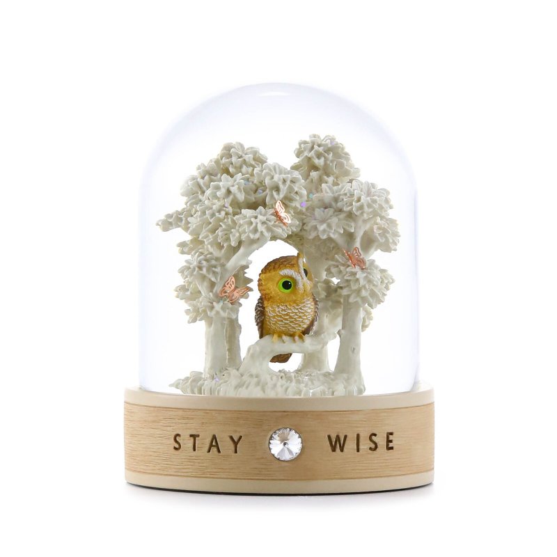 心靈守護神- Stay wise 玻璃罩擺件生日情人聖誕交換彌月貓頭鷹 - 擺飾/家飾品 - 玻璃 