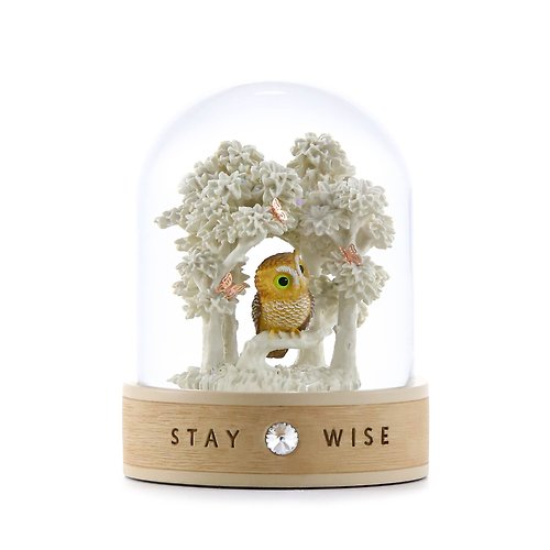 JARLL 讚爾藝術 心靈守護神- Stay wise 玻璃罩擺件生日情人聖誕交換彌月貓頭鷹