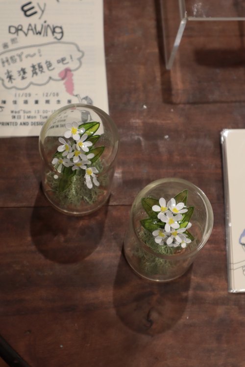 lightsoda 一枝獨桂 軟木塞玻璃罩
