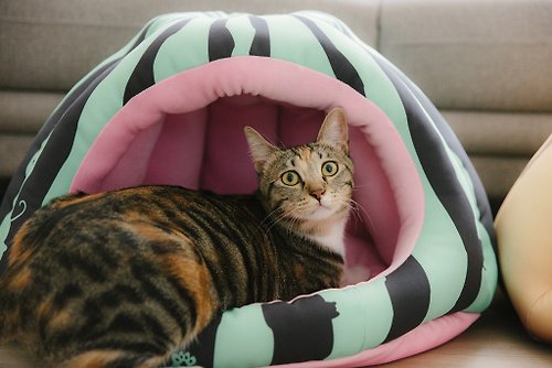 Lucky Me 寵物設計 大暖屋- 貓咪跑到西瓜田裡 貓窩 寵物床 寵物睡墊