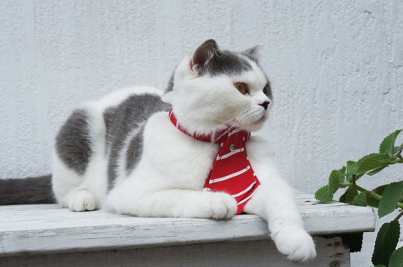 【AnnaNina】貓咪專用嬰兒釦 寵物貓咪項圈 紅白條紋 24小時出貨 - 項圈/牽繩 - 棉．麻 