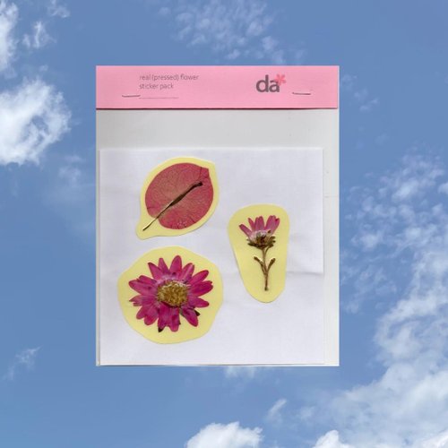 darida-studio dried flower sticker (mixed flower, pink trio)