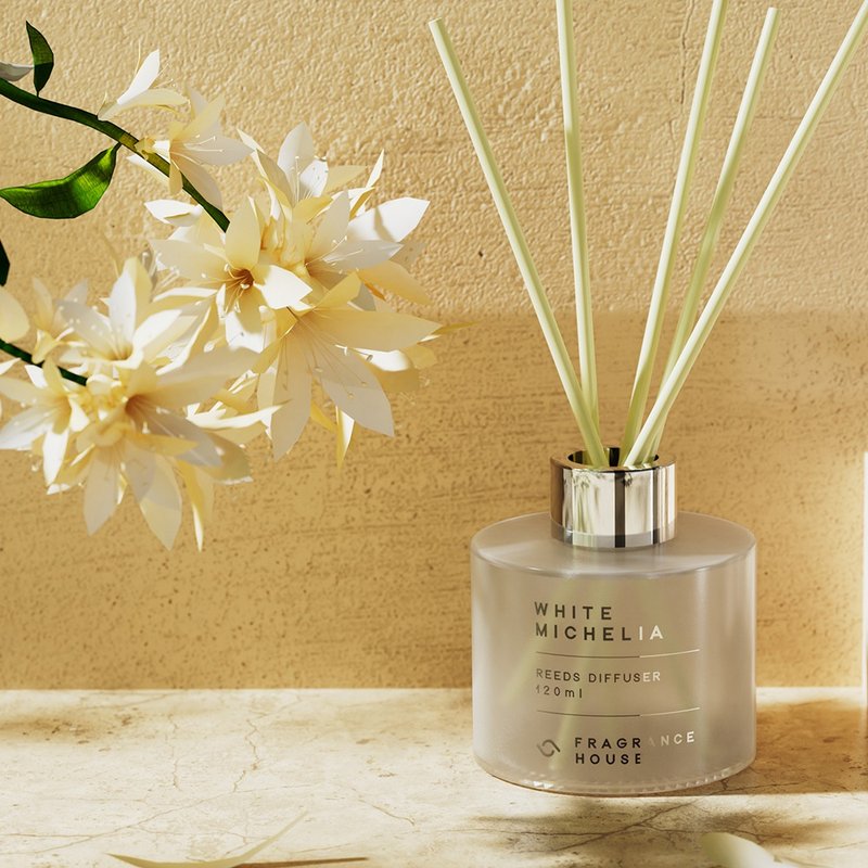 藤枝香薰 120ml | 34種香調選擇 | 香薰 禮物 交換 香氛 香港手調 - 香氛/精油/擴香 - 玻璃 