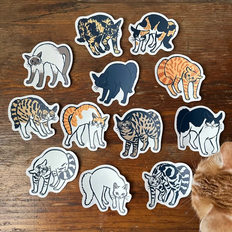 Explosive Cat Waterproof Sticker - สติกเกอร์ - พลาสติก หลากหลายสี