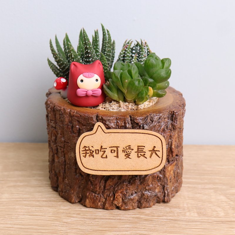 Xiaori Miao Lily Branch Succulent Potted Plant Lettering Customized Wedding Birthday Opening Graduation - Plants - Wood Multicolor