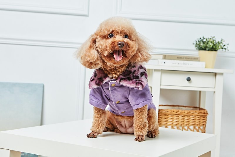 【Mao Duke】Pet clothes leopard print fur collar coat purple - Clothing & Accessories - Cotton & Hemp Purple
