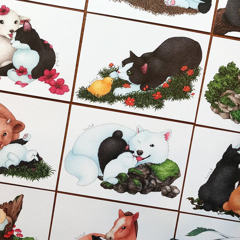 【Cat Maniac】Cat and the 12 Zodiac Series / Postcard Group - การ์ด/โปสการ์ด - กระดาษ หลากหลายสี