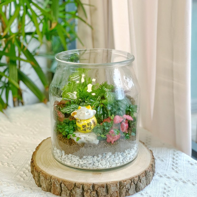 【新竹】【體驗】【贈品】Terrarium水晶花園 .生態瓶.送酵素 - 植栽/花藝 - 植物．花 