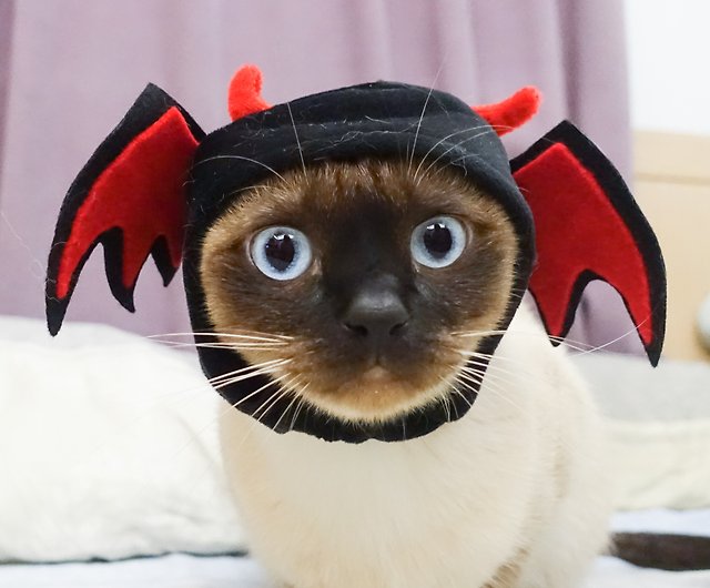 小悪魔ペット猫と犬の帽子のヘッドギア* Sサイズ - ショップ Fluffy