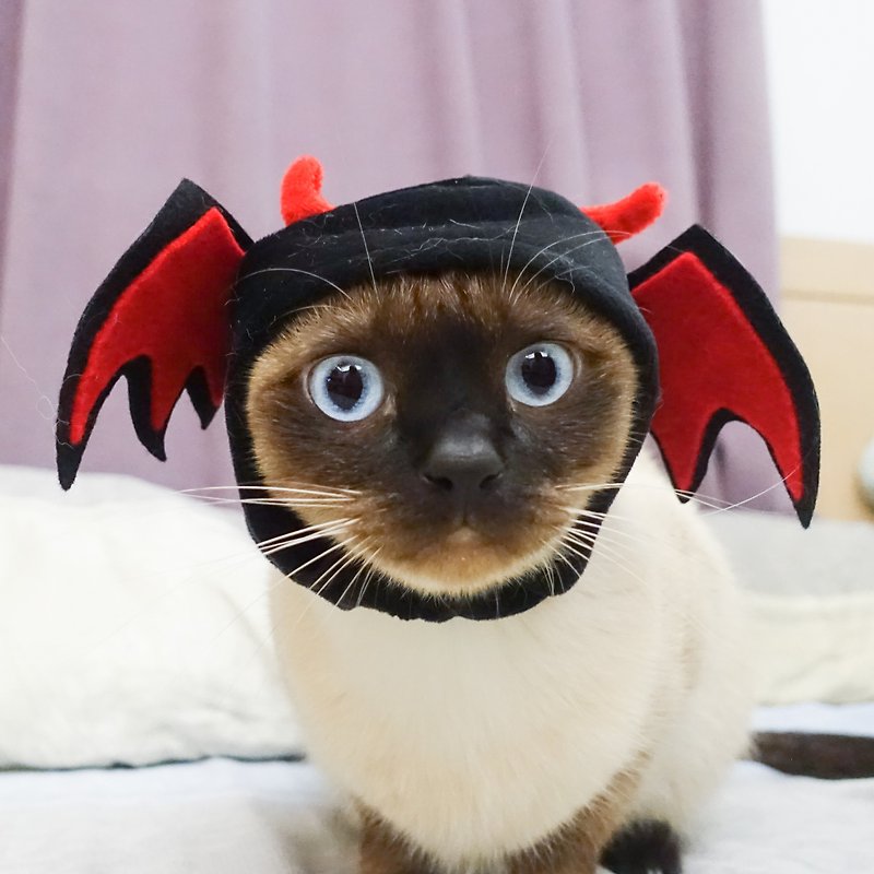 Little Devil Pet Cat and Dog Hat Headgear*S Size - ชุดสัตว์เลี้ยง - เส้นใยสังเคราะห์ สีดำ