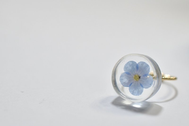 Glass Specimen 勿忘草003 - 戒指 - 玻璃 透明