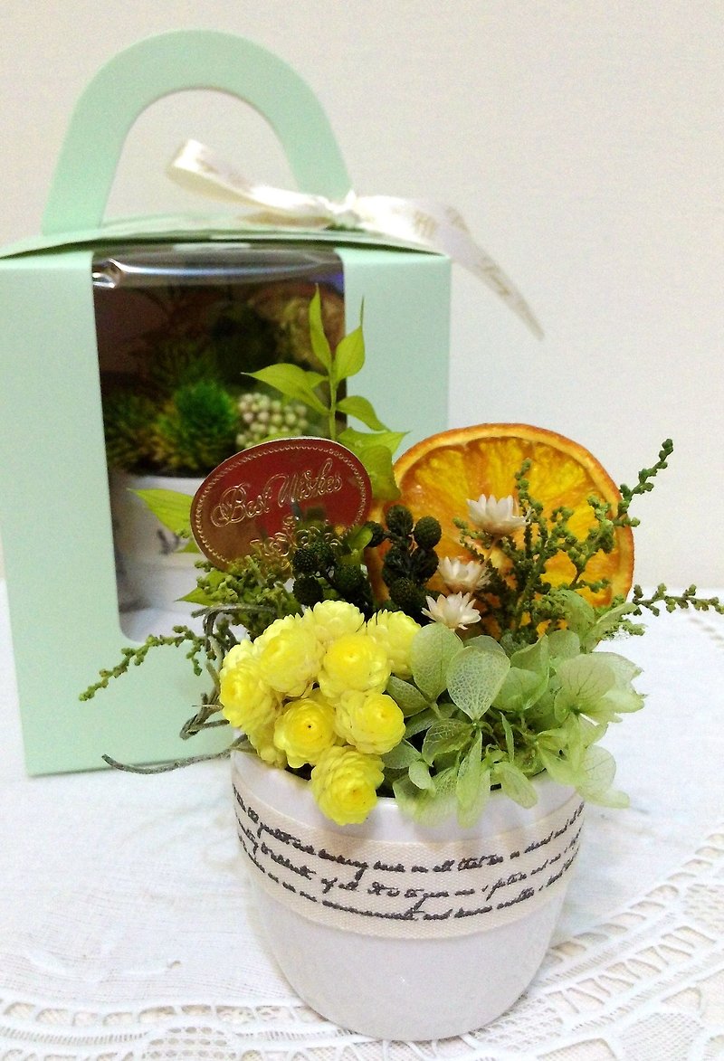 l Mini Healing Plants-Tangerine Fragrant Fragrance l*Thanksgiving*Thank you*Healing*No withering flowers. Star flowers. Everlasting flowers*Gift*Green* - ตกแต่งต้นไม้ - พืช/ดอกไม้ 