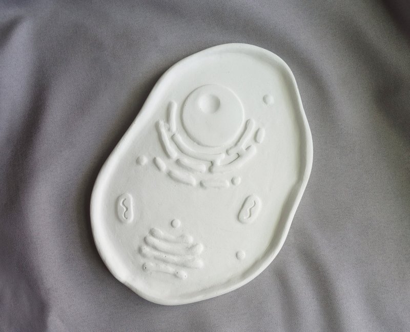 Lying cells-handmade cell Cement tray/ornament tray - ของวางตกแต่ง - ปูน ขาว