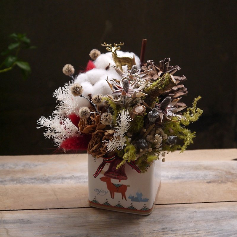 クリスマスが来ている。自然動物の教室。クリスマスドライフラワーセレモニー - 観葉植物 - 寄せ植え・花 レッド