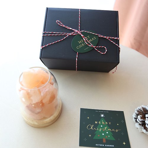 植物星球 【聖誕禮盒】 香氛水晶石夜燈/聖誕禮物/聖誕禮盒/交換禮物