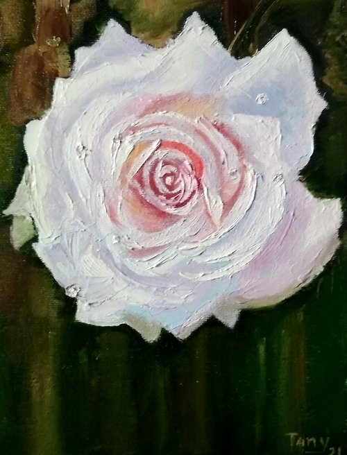 tanycollection Original oil painting Big rose. 24x18x0,3 cm. Unframed.